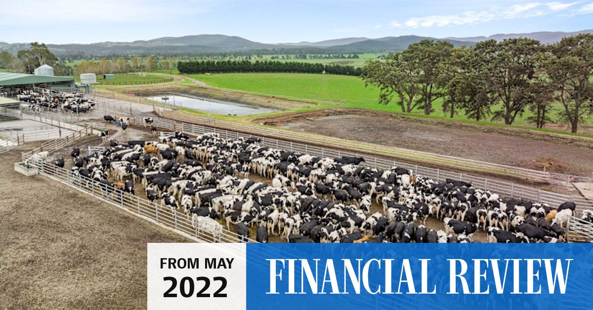 Rural property Kings Transport boss Mike Shannon puts Gippsland dairy